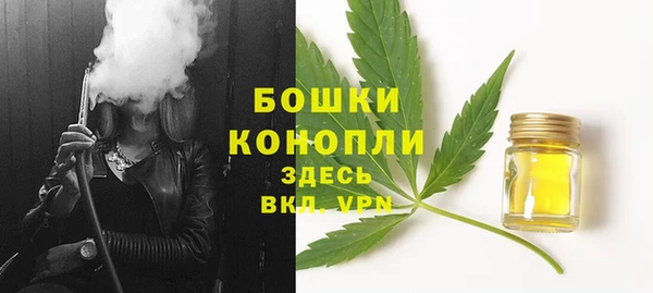 соль ск Верхний Тагил