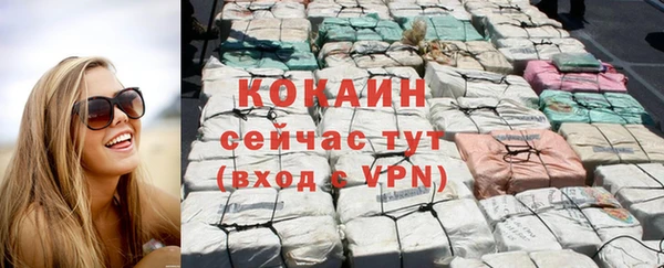 соль ск Верхний Тагил