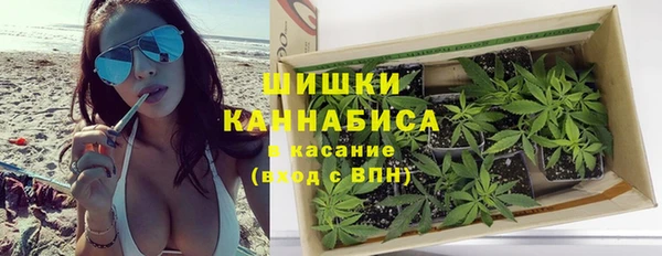 соль ск Верхний Тагил